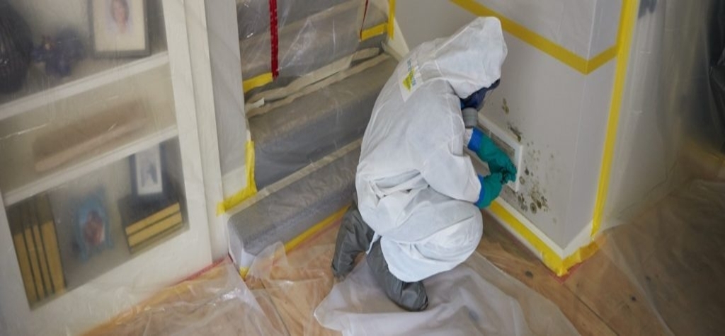 Mold-Remediation